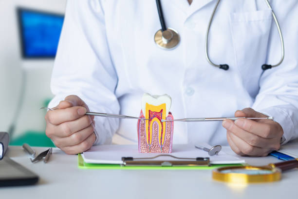 Best Cosmetic Emergency Dentistry in Lenwood, CA